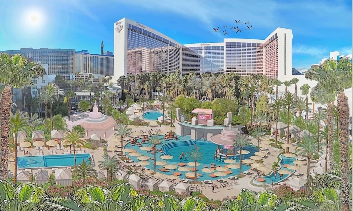rendering of flamingo go pool upgrades