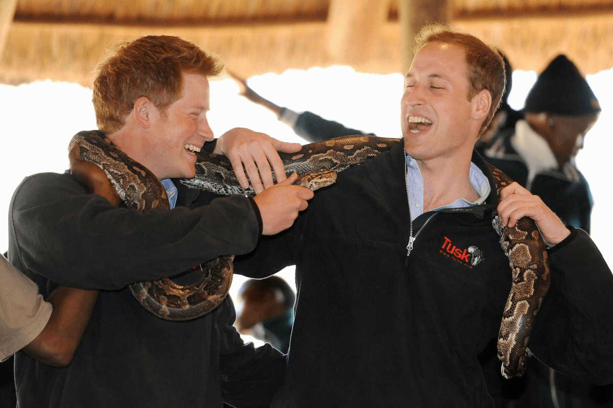 moments like this again between the royal brothers