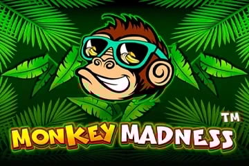 Monkey Madness Game Logo