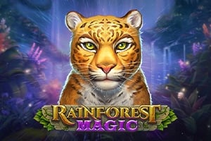 Rainforest Magic Game Logo