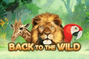 Back to the Wild Game Logo