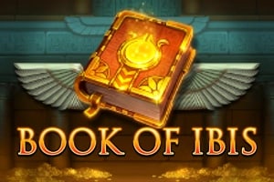 Book of Gold 2: Double Hit Game Logo