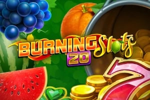 Burning Slots 20 Game Logo