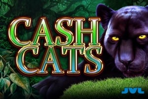 Cash Cats Game Logo