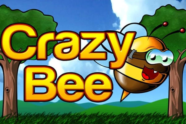 Crazy Bee Game Logo