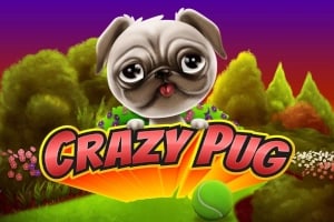 Crazy Pug Game Logo