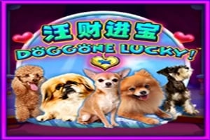 Doggone Lucky! Game Logo