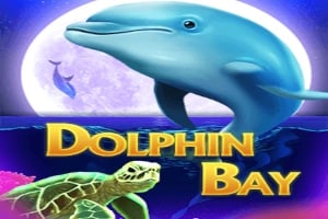 Dolphin Bay Game Logo