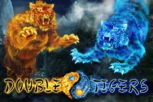 Double Tigers Game Logo