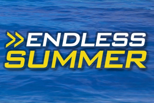 Endless Summer Game Logo