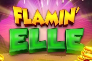 Flamin' Elle Game Logo