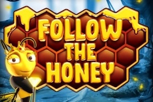 Follow the Honey Game Logo