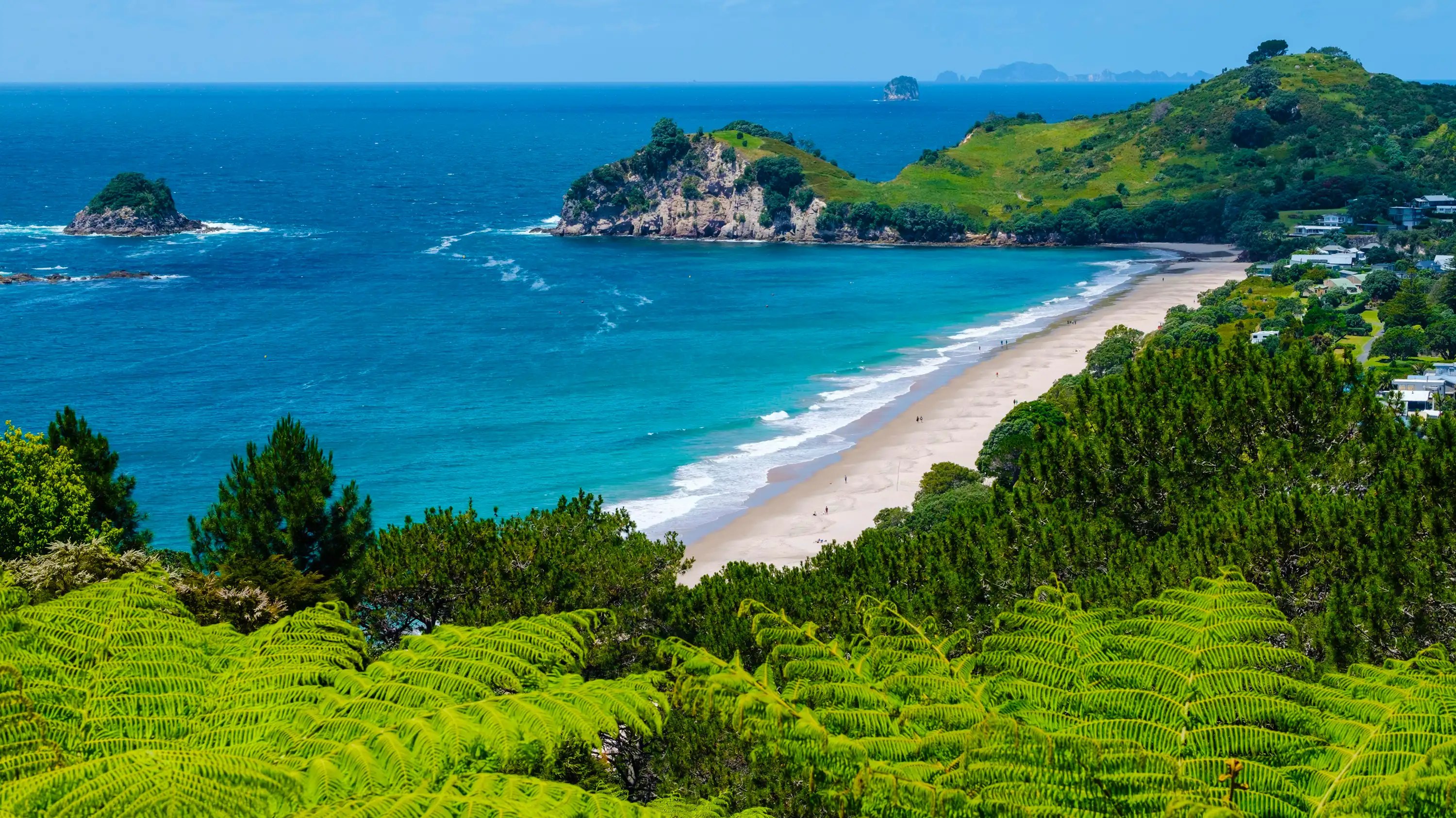 New Zealand casinos