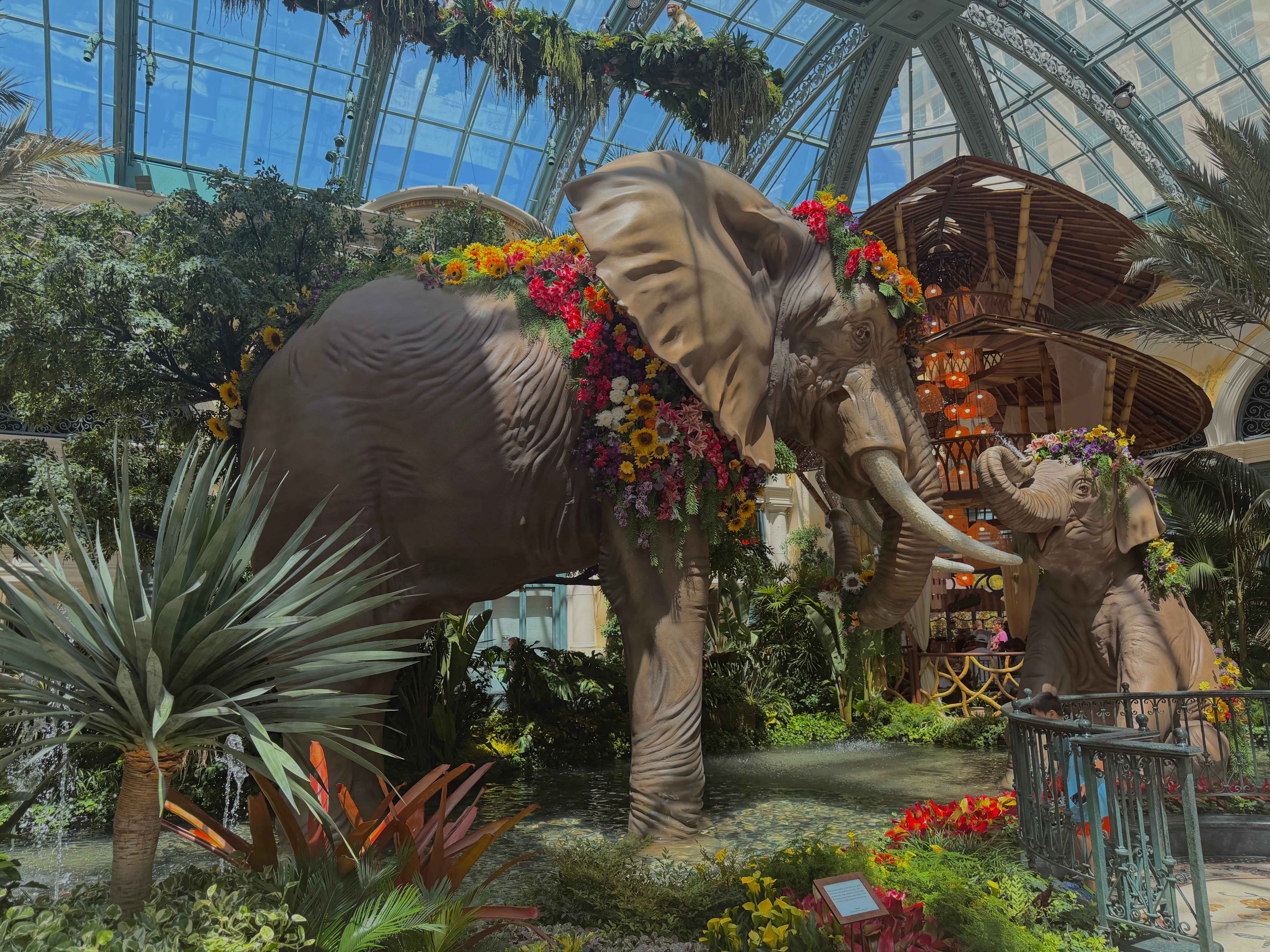 Carousel Image