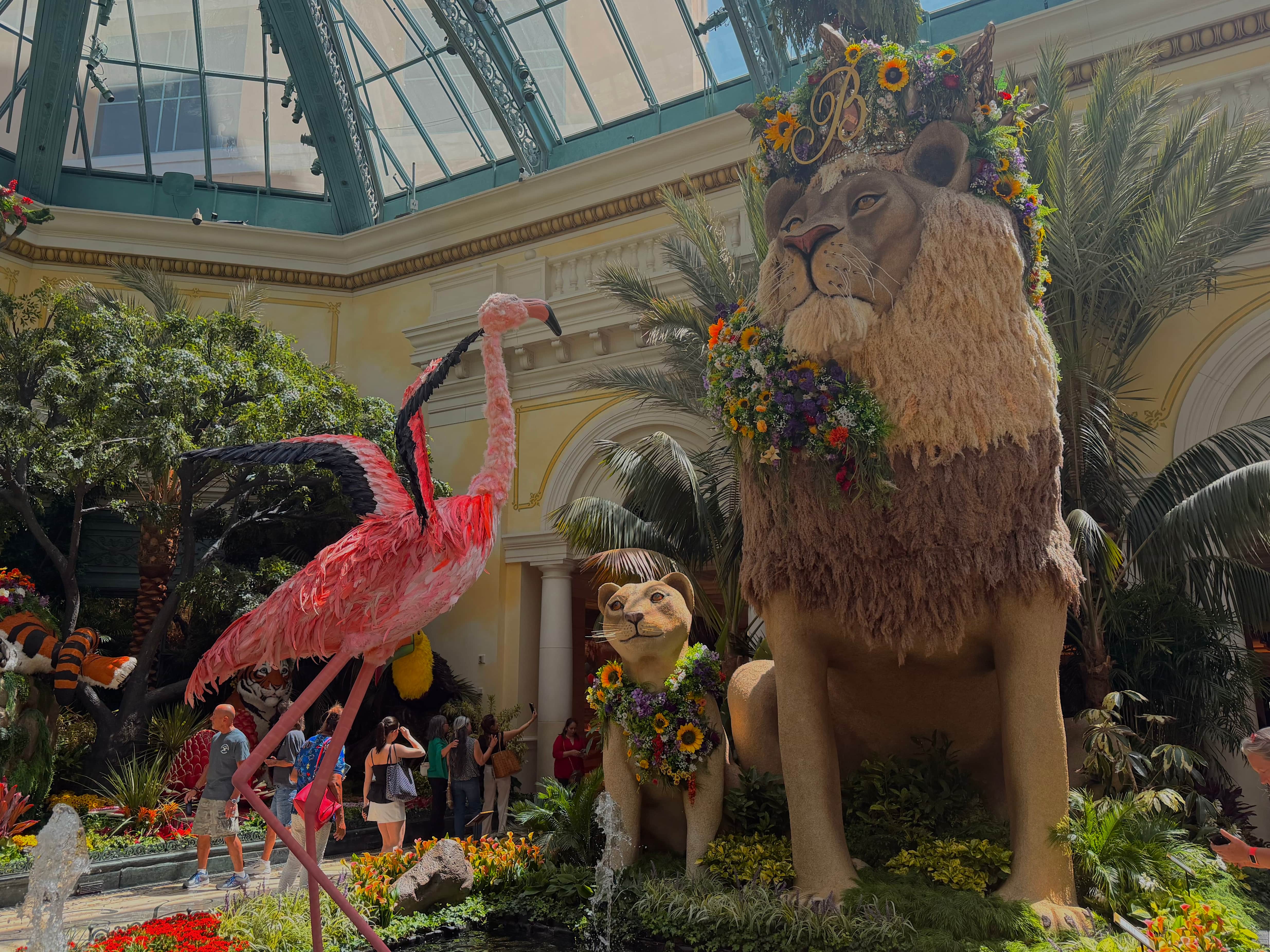 Carousel Image