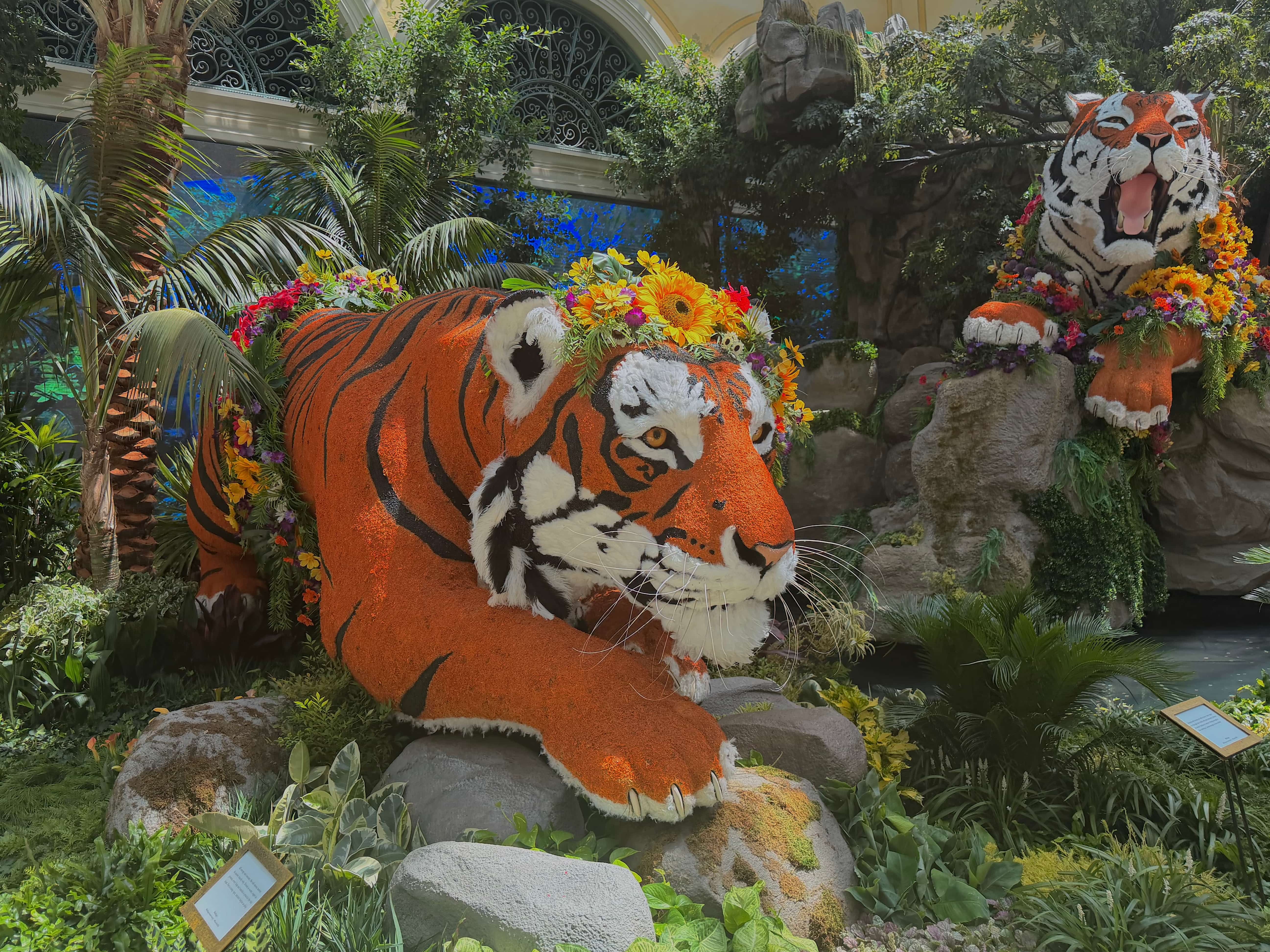 Carousel Image