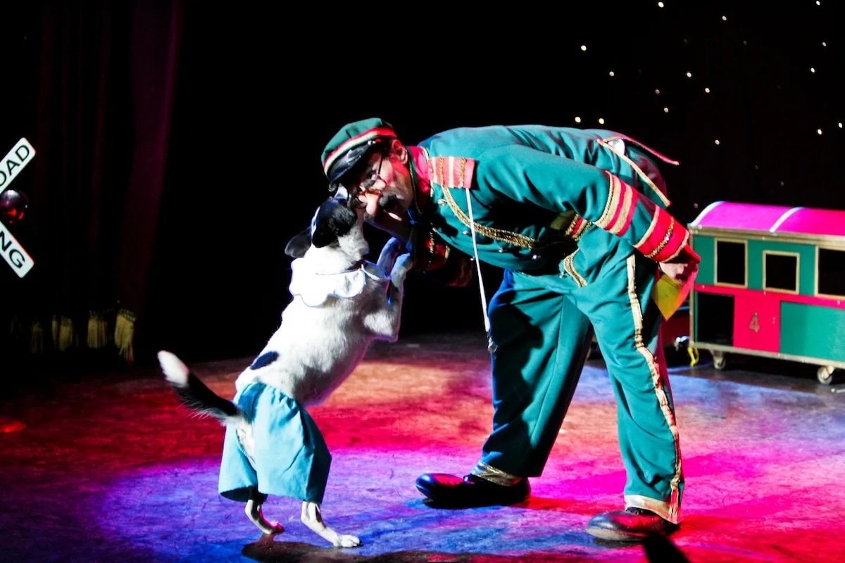 performer in a green ringmaster costume nuzzling a rescued dog dressed in costume on stage
