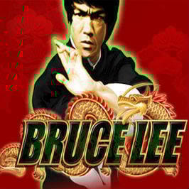 Bruce Lee: Fire of the Dragon  Game Logo