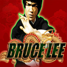Bruce Lee: Fire of the Dragon Game Logo