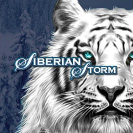 Siberian Storm Game Logo