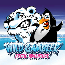 Wild Gambler Arctic Adventure Game Logo