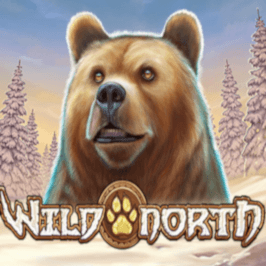 Wild North Game Logo