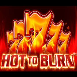 Hot To Burn Game Logo