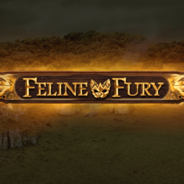 Feline Fury Game Logo
